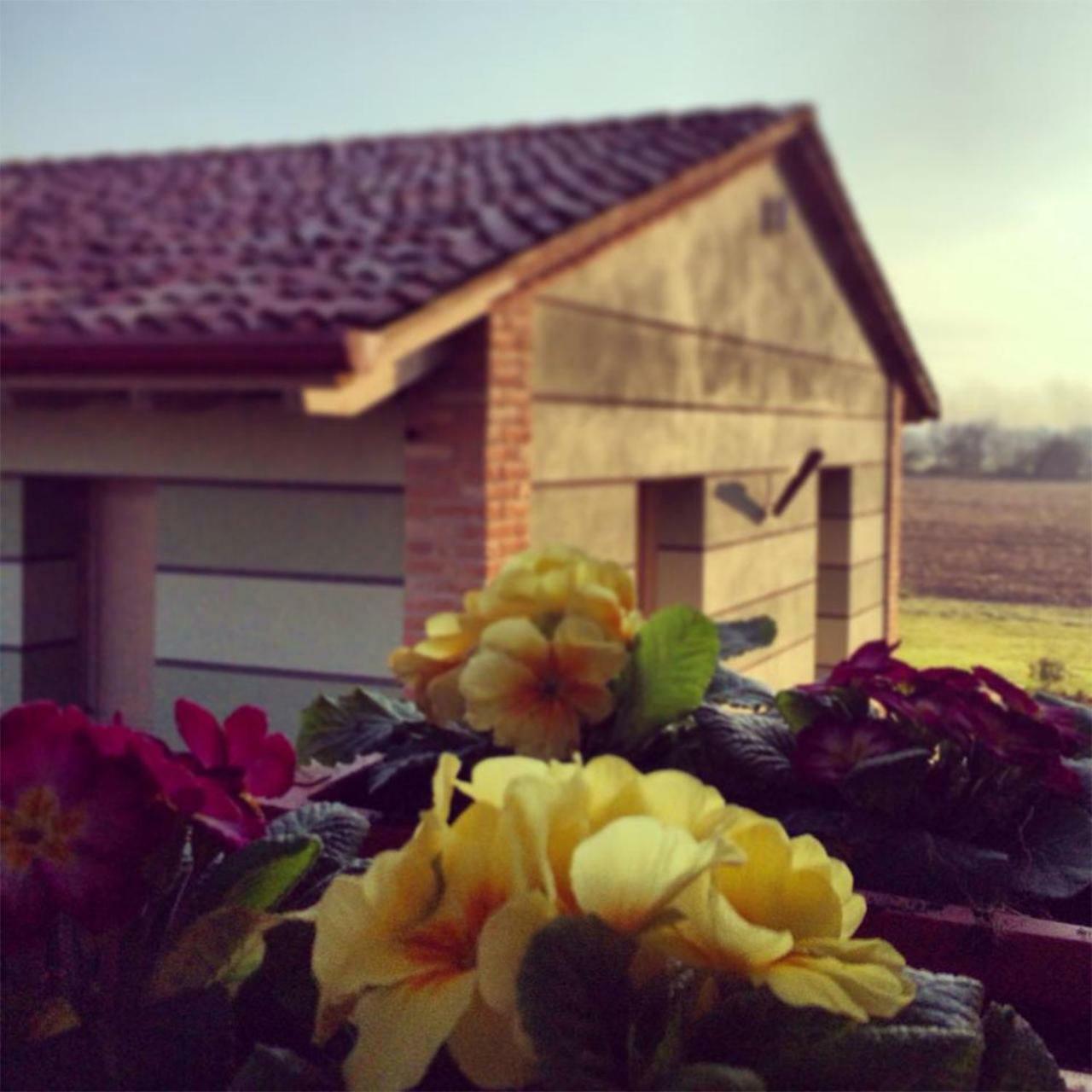 Agriturismo Bassanine Monticelli dʼOngina المظهر الخارجي الصورة