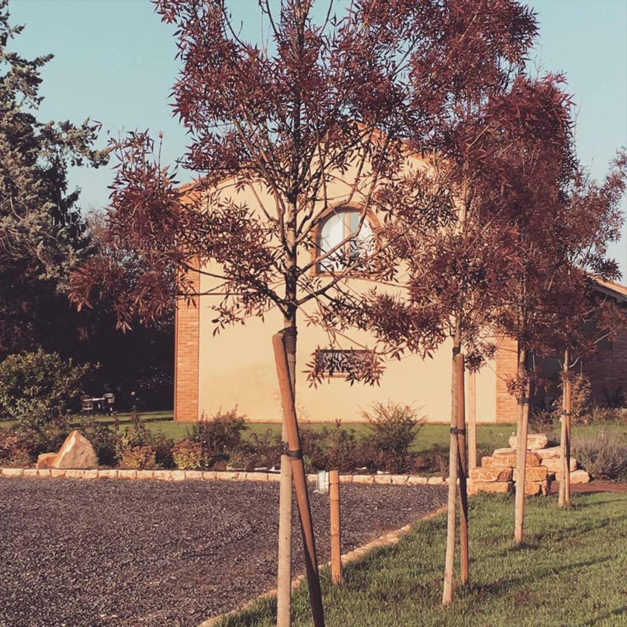 Agriturismo Bassanine Monticelli dʼOngina المظهر الخارجي الصورة